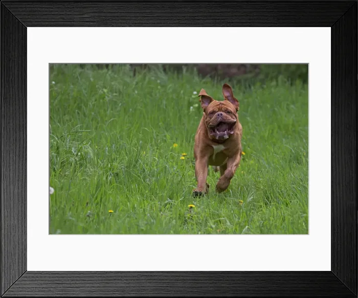 Framed Print : Picture No. 10897857 Framed Print : Picture No. 10897857