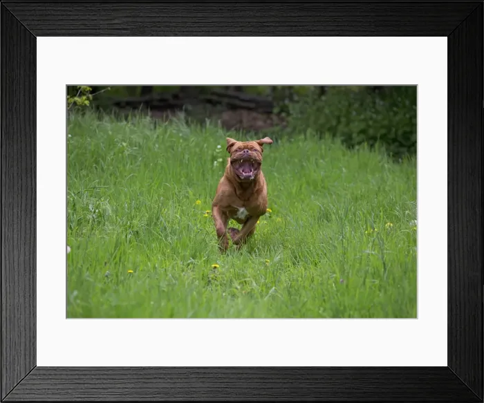 Framed Print : Picture No. 10897858 Framed Print : Picture No. 10897858