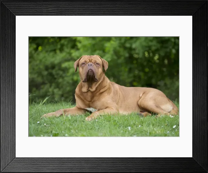 Framed Print : Picture No. 10897861 Framed Print : Picture No. 10897861