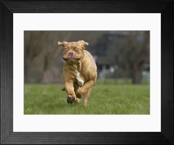 Framed Print : Picture No. 10897865 Framed Print : Picture No. 10897865