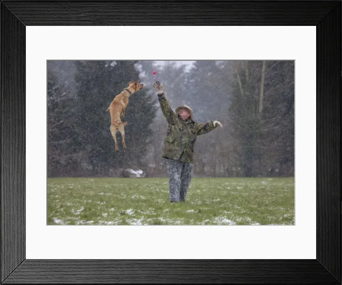 Framed Print : Picture No. 10897862 Framed Print : Picture No. 10897862