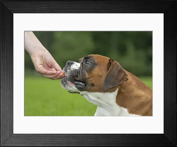 Framed Print : Picture No. 10897870 Framed Print : Picture No. 10897870