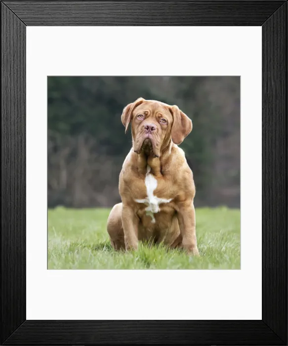 Framed Print : Picture No. 10897867 Framed Print : Picture No. 10897867