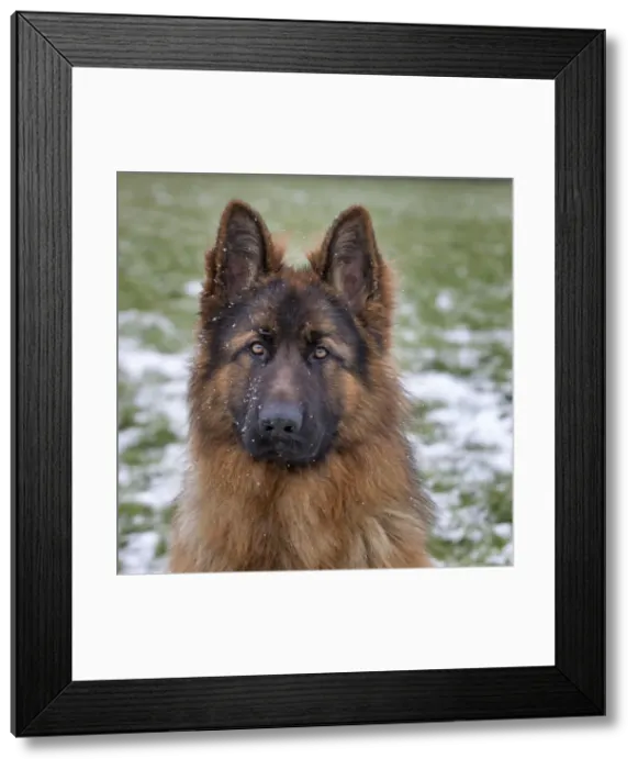 Framed Print : Picture No. 10897879 Framed Print : Picture No. 10897879