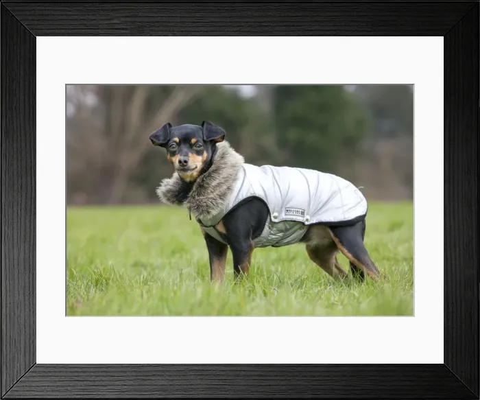 Framed Print : Picture No. 10897904 Framed Print : Picture No. 10897904