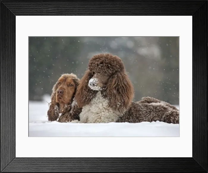 Framed Print : Picture No. 10897910 Framed Print : Picture No. 10897910