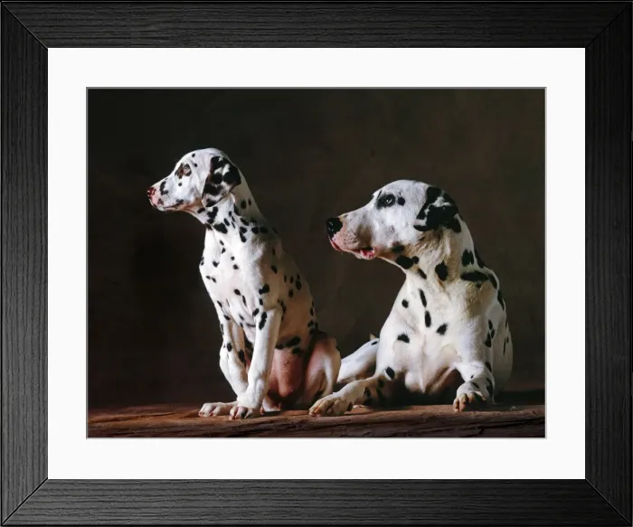 Framed Print : Picture No. 10897933 Framed Print : Picture No. 10897933