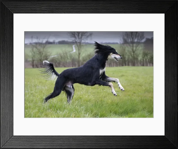 Framed Print : Picture No. 10897943 Framed Print : Picture No. 10897943