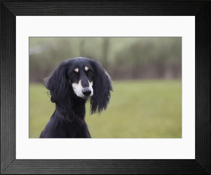 Framed Print : Picture No. 10897945 Framed Print : Picture No. 10897945