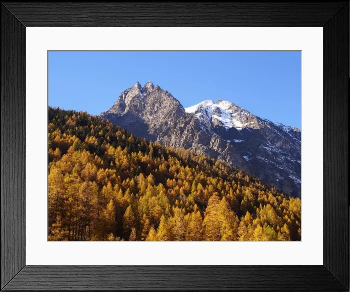 Framed Print : Picture No. 10898028 Framed Print : Picture No. 10898028