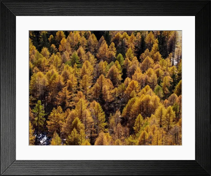 Framed Print : Picture No. 10898026 Framed Print : Picture No. 10898026