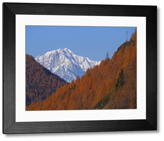 Framed Print : Picture No. 10898031 Framed Print : Picture No. 10898031