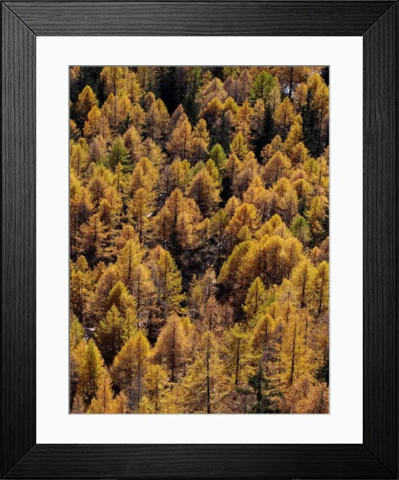 Framed Print : Picture No. 10898027 Framed Print : Picture No. 10898027