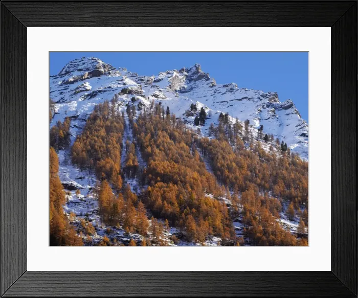 Framed Print : Picture No. 10898032 Framed Print : Picture No. 10898032