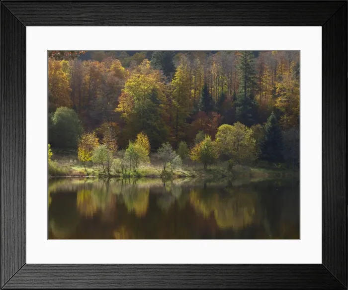 Framed Print : Picture No. 10898037 Framed Print : Picture No. 10898037