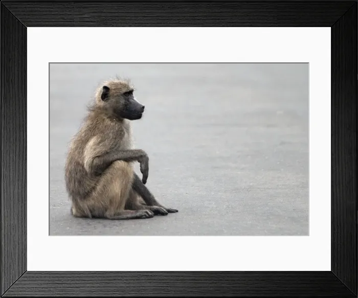 Framed Print : Picture No. 10891204 Framed Print : Picture No. 10891204