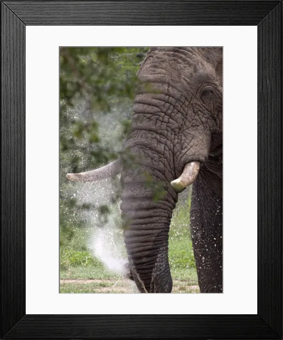 Framed Print : Picture No. 10891212 Framed Print : Picture No. 10891212