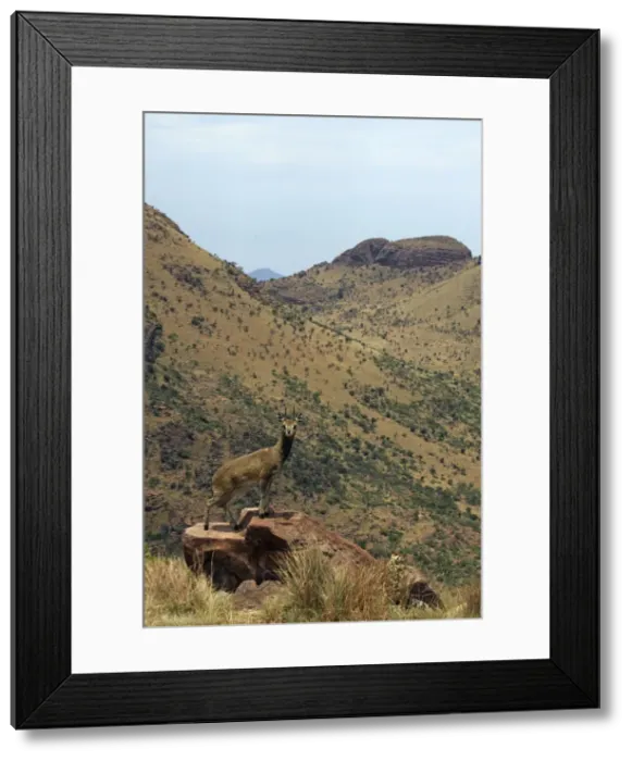 Framed Print : Picture No. 10891210 Framed Print : Picture No. 10891210
