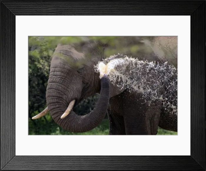 Framed Print : Picture No. 10891213 Framed Print : Picture No. 10891213