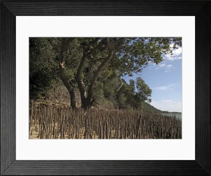 Framed Print : Picture No. 10891233 Framed Print : Picture No. 10891233
