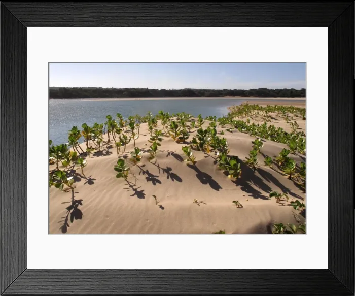 Framed Print : Picture No. 10891232 Framed Print : Picture No. 10891232