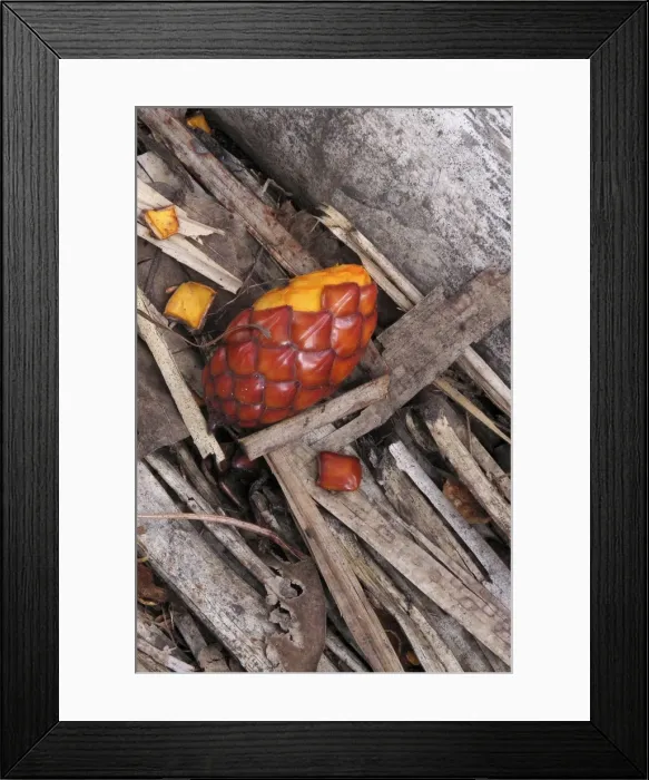 Framed Print : Picture No. 10891242 Framed Print : Picture No. 10891242