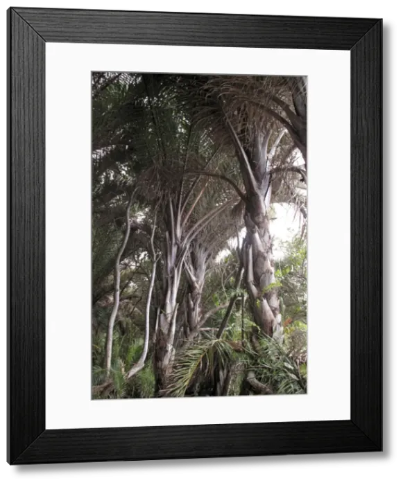 Framed Print : Picture No. 10891244 Framed Print : Picture No. 10891244