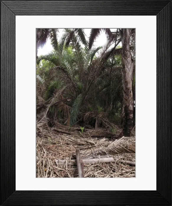 Framed Print : Picture No. 10891243 Framed Print : Picture No. 10891243