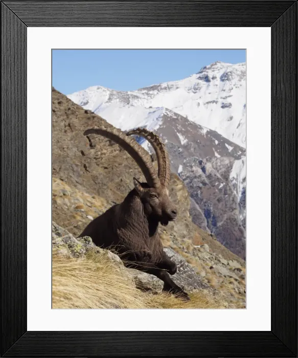 Framed Print : Picture No. 10898072 Framed Print : Picture No. 10898072