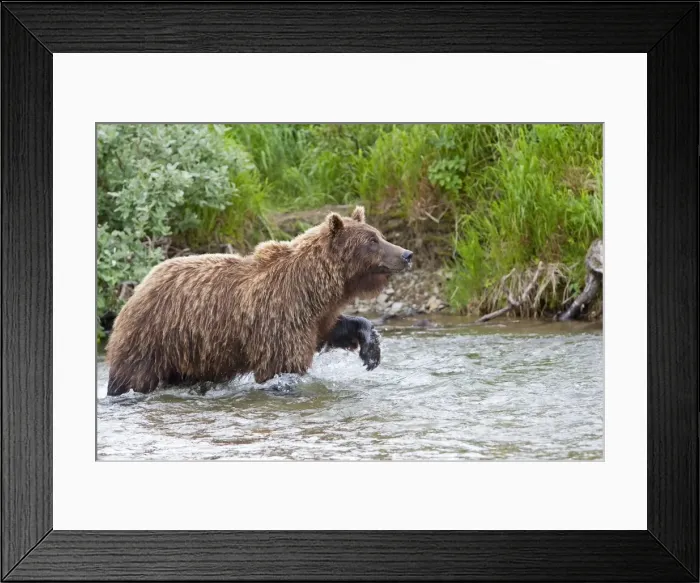 Framed Print : Picture No. 10898082