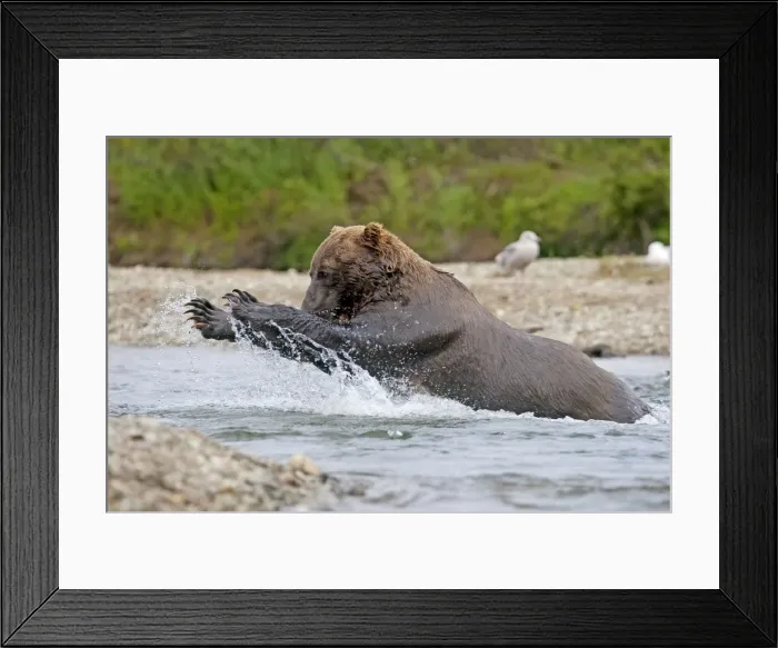 Framed Print : Picture No. 10898088 Framed Print : Picture No. 10898088