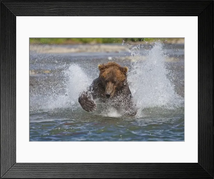 Framed Print : Picture No. 10898085 Framed Print : Picture No. 10898085