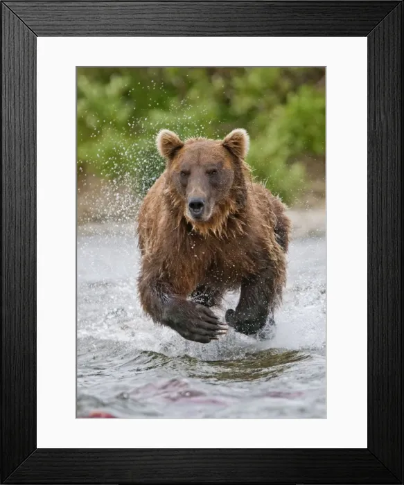 Framed Print : Picture No. 10898093