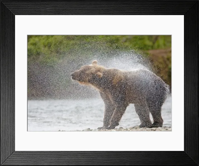 Framed Print : Picture No. 10898100 Framed Print : Picture No. 10898100