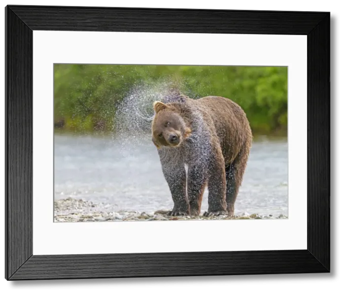Framed Print : Picture No. 10898109 Framed Print : Picture No. 10898109