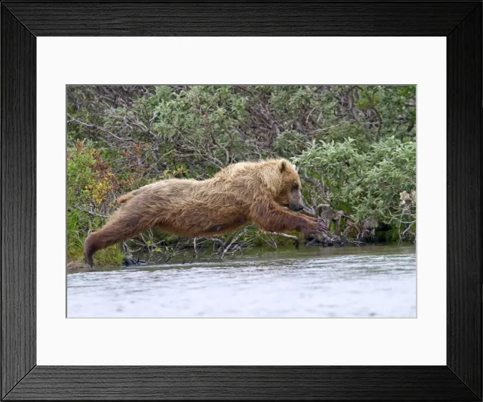 Framed Print : Picture No. 10898113 Framed Print : Picture No. 10898113