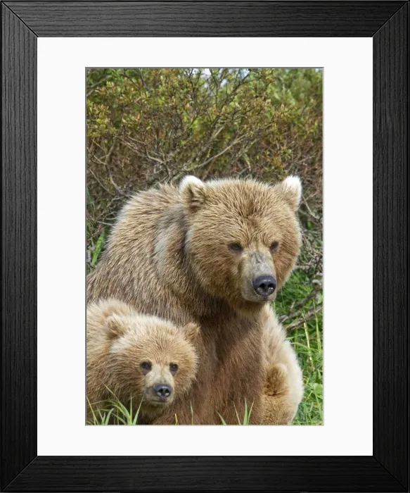Framed Print : Picture No. 10898115 Framed Print : Picture No. 10898115