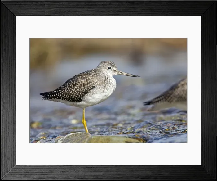 Framed Print : Picture No. 10898140 Framed Print : Picture No. 10898140