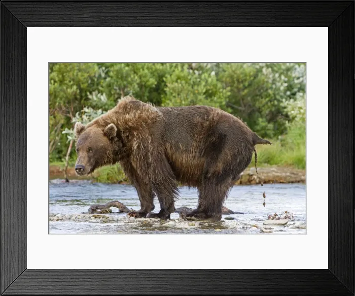 Framed Print : Picture No. 10898142