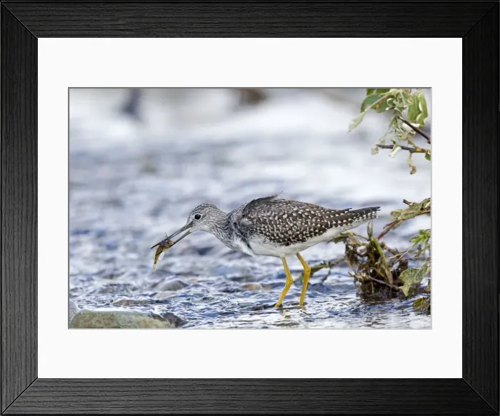 Framed Print : Picture No. 10898139 Framed Print : Picture No. 10898139