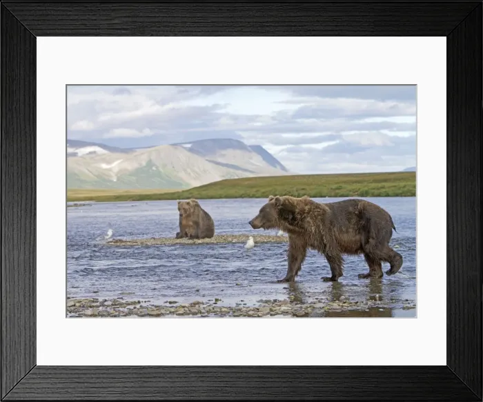 Framed Print : Picture No. 10898141 Framed Print : Picture No. 10898141