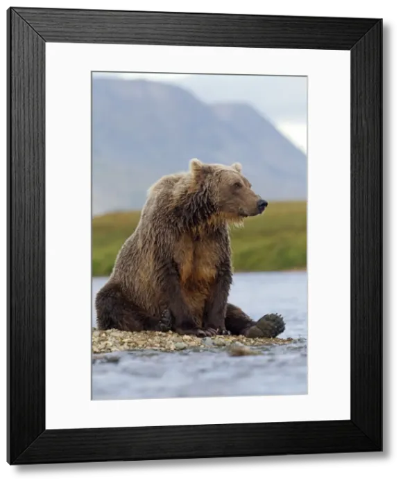Framed Print : Picture No. 10898146 Framed Print : Picture No. 10898146