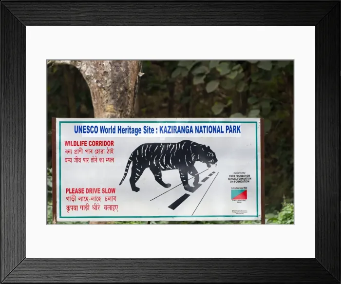Framed Print : Picture No. 10898155 Framed Print : Picture No. 10898155