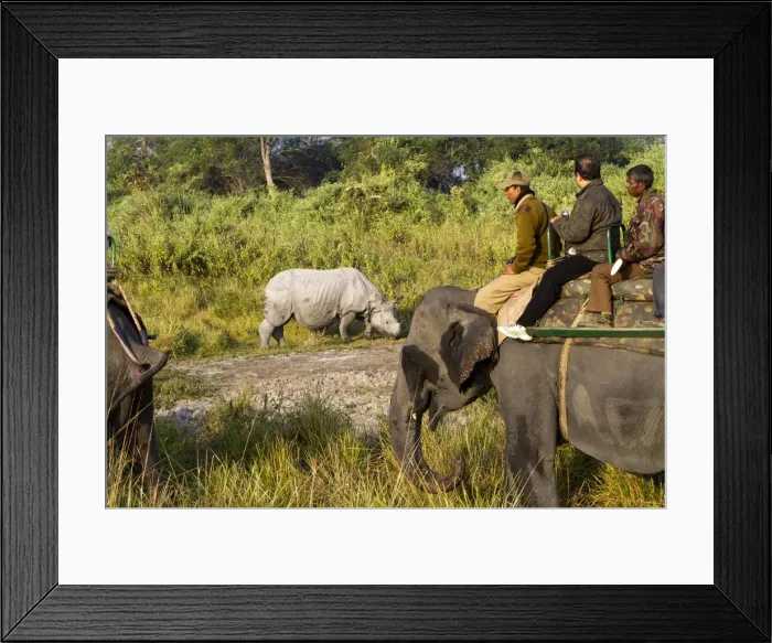 Framed Print : Picture No. 10898165 Framed Print : Picture No. 10898165