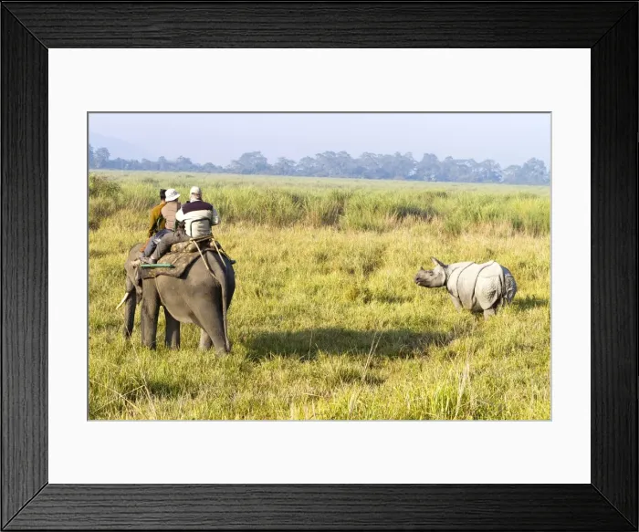 Framed Print : Picture No. 10898168 Framed Print : Picture No. 10898168