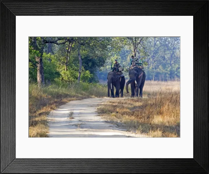 Framed Print : Picture No. 10898195