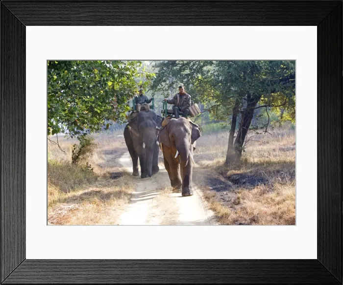 Framed Print : Picture No. 10898198 Framed Print : Picture No. 10898198