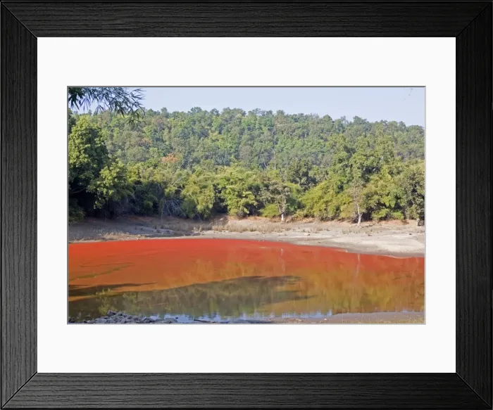 Framed Print : Picture No. 10898209 Framed Print : Picture No. 10898209