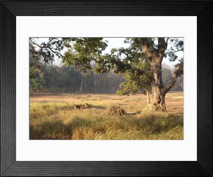 Framed Print : Picture No. 10898208 Framed Print : Picture No. 10898208