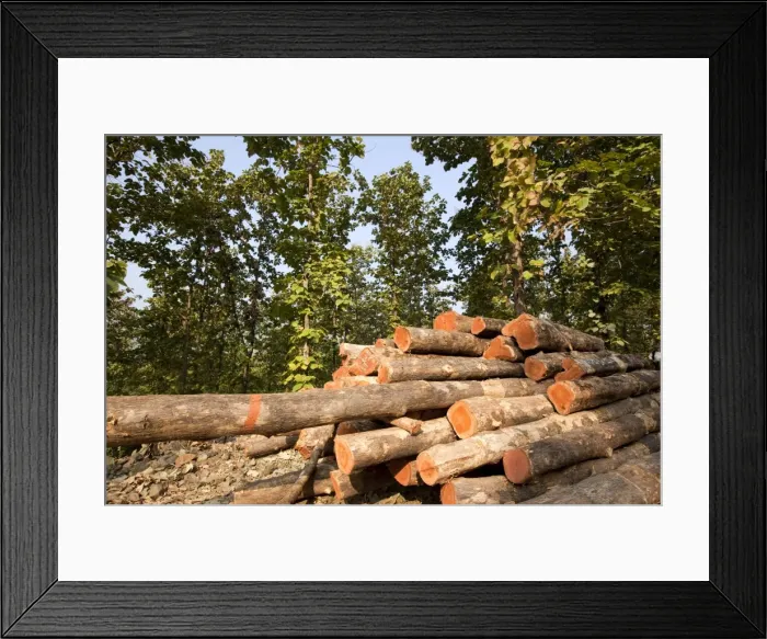 Framed Print : Picture No. 10898217 Framed Print : Picture No. 10898217